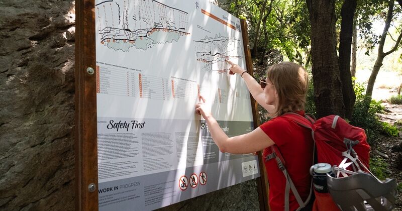 Marjolein bij het bord
